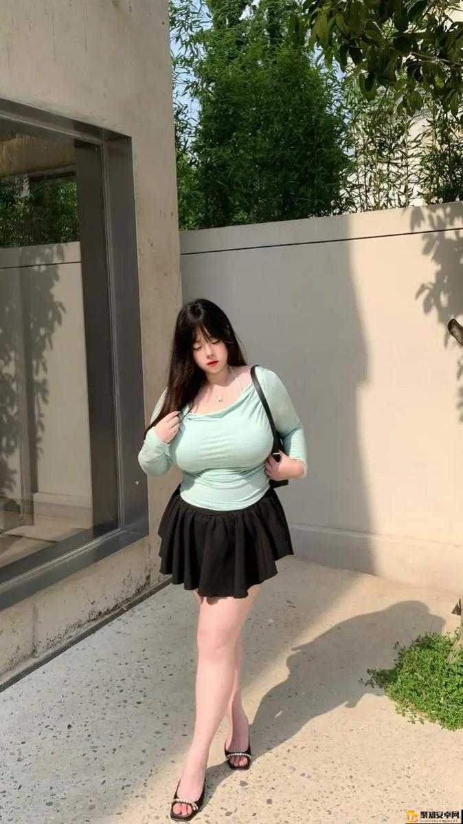 高清BBW的魅力与探索-第1张图片