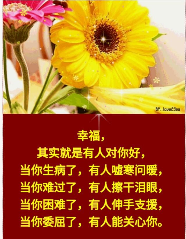 爽妇网7，探索现代女性健康与幸福的新天地-第1张图片