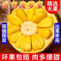 菠萝菠萝蜜高清视频，探索热带水果的魅力
