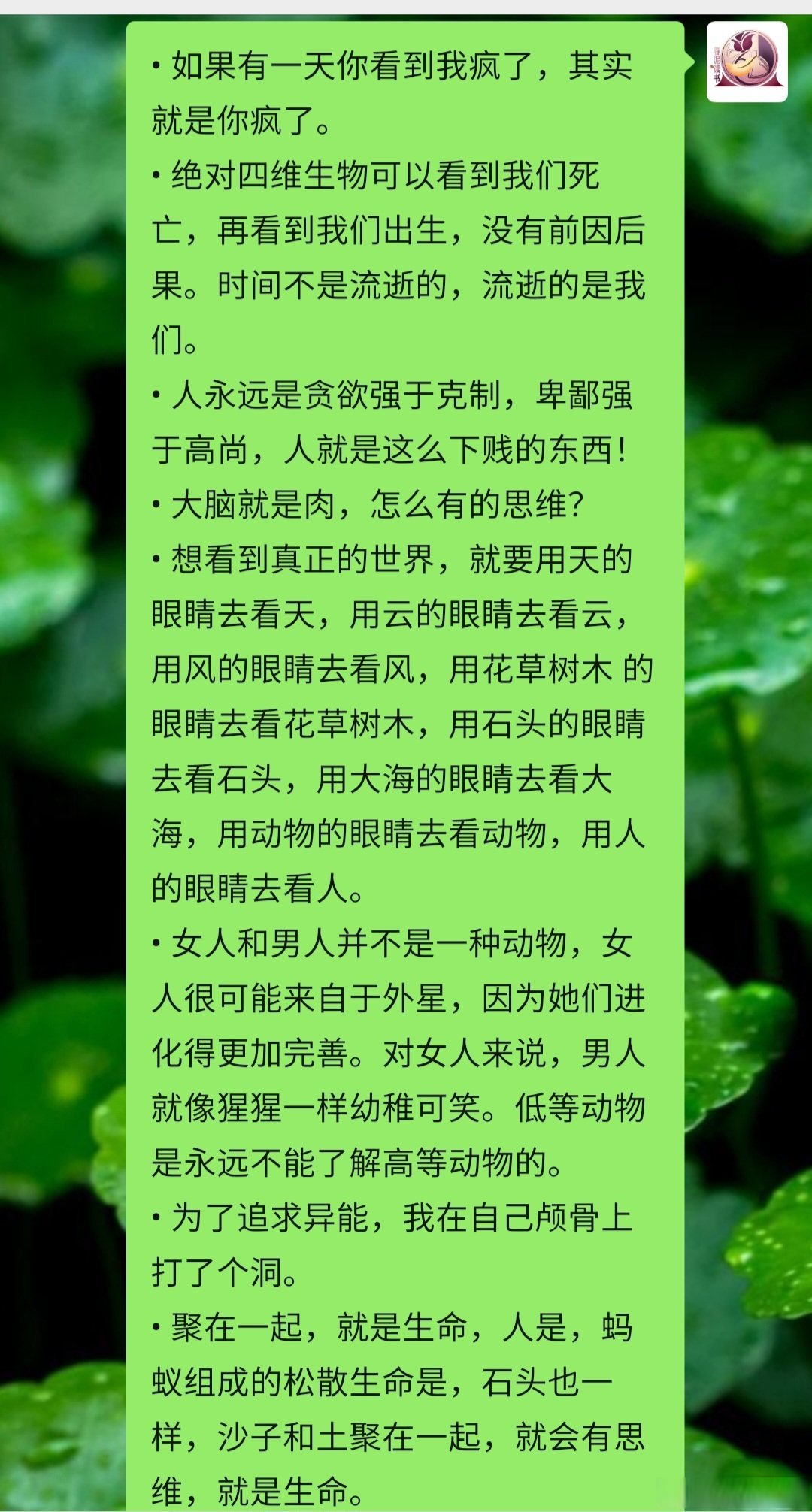 他是疯批他是疯批——一个独特的灵魂探索
