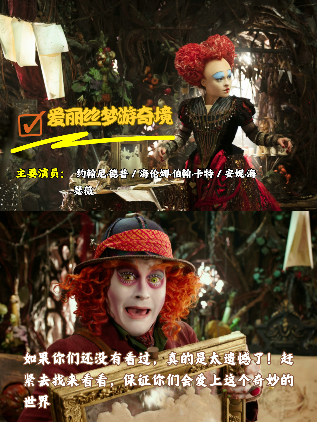 探索未知的奇妙世界——比驴的还长还大的奥秘