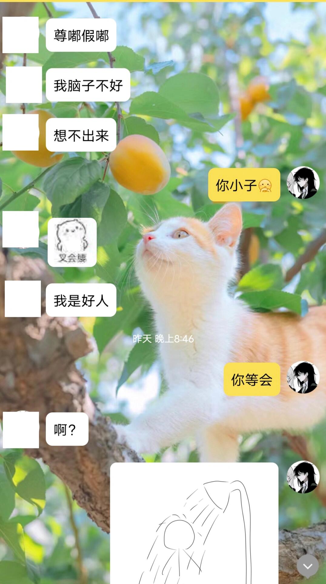 两个男生做酿酿酱酱的视频外网版酿酿酱酱，两位男生厨房的独特冒险-第2张图片