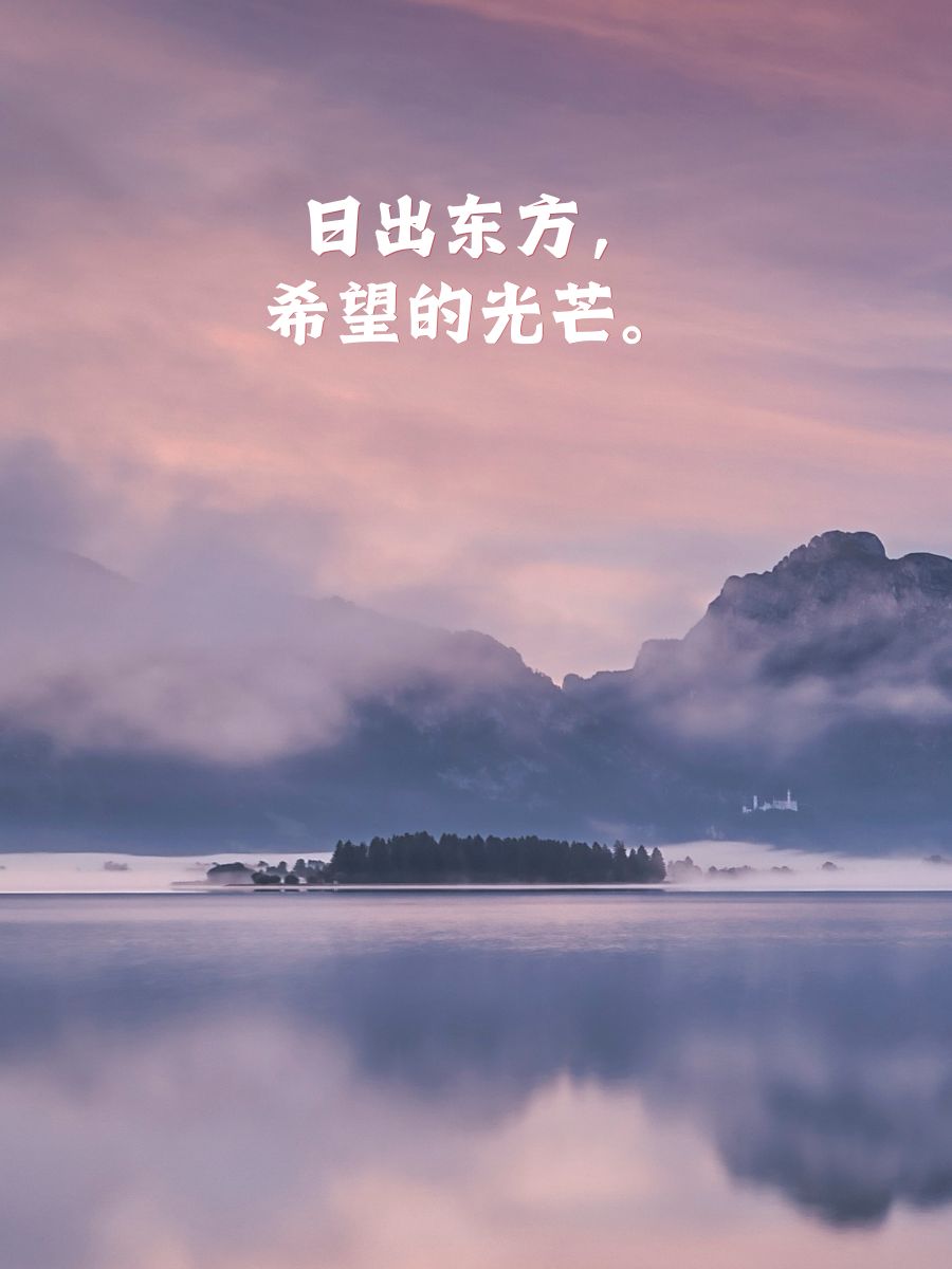忘忧草51dado忘忧草51DADOU，寻找心灵的宁静