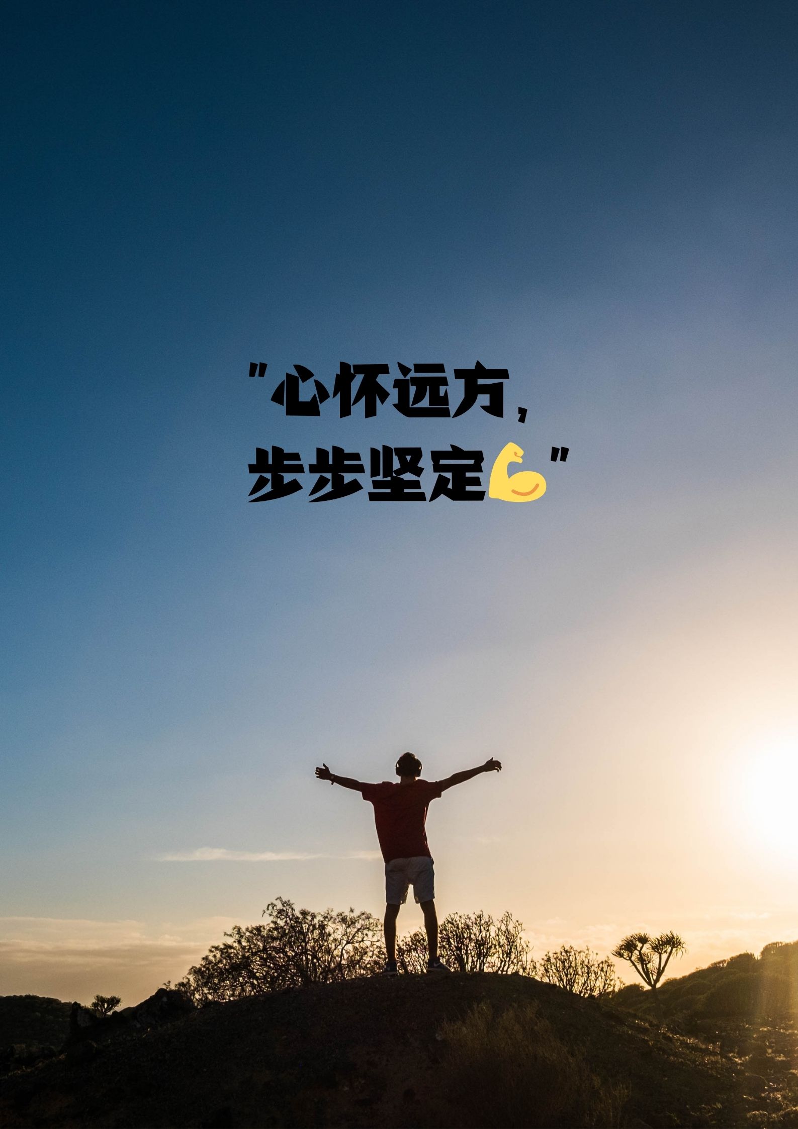 梦幻双翼梦幻双翼，飞翔的奇迹与梦想的翅膀-第2张图片