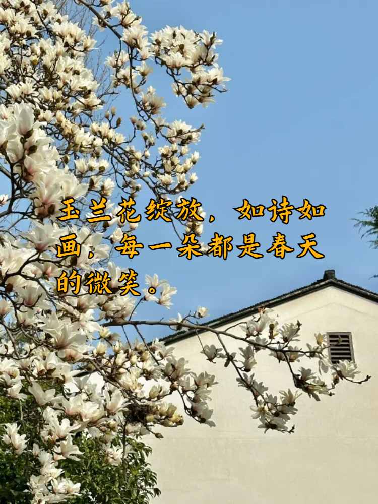 美丽之花，需待成熟之眼欣赏——关于保护未成年人免受不良信息侵害的探讨-第2张图片
