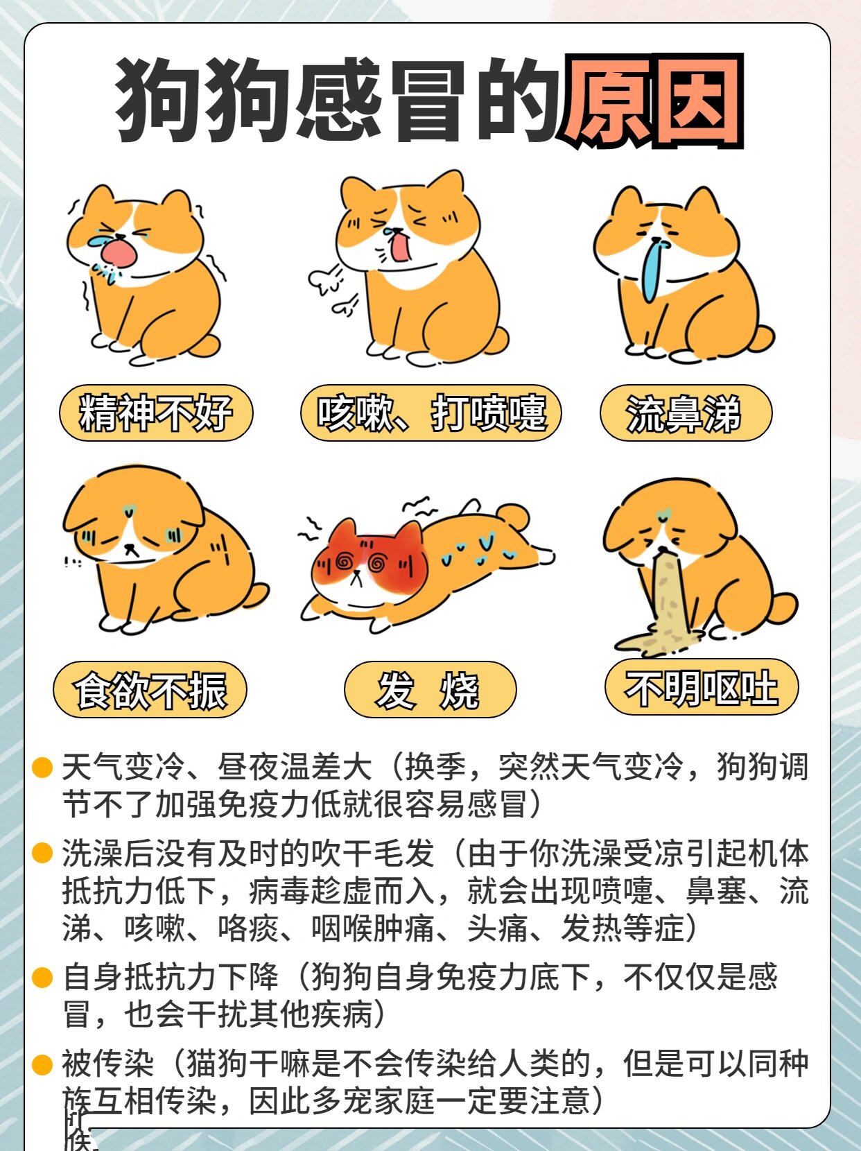 狗狗的东西卡在我里面了怎么办狗狗误入物品的应急处理-第1张图片