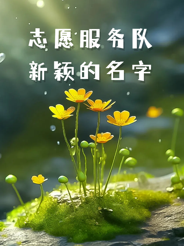 免费正能量网站链接免费正能量网站链接——点亮生活的阳光源泉