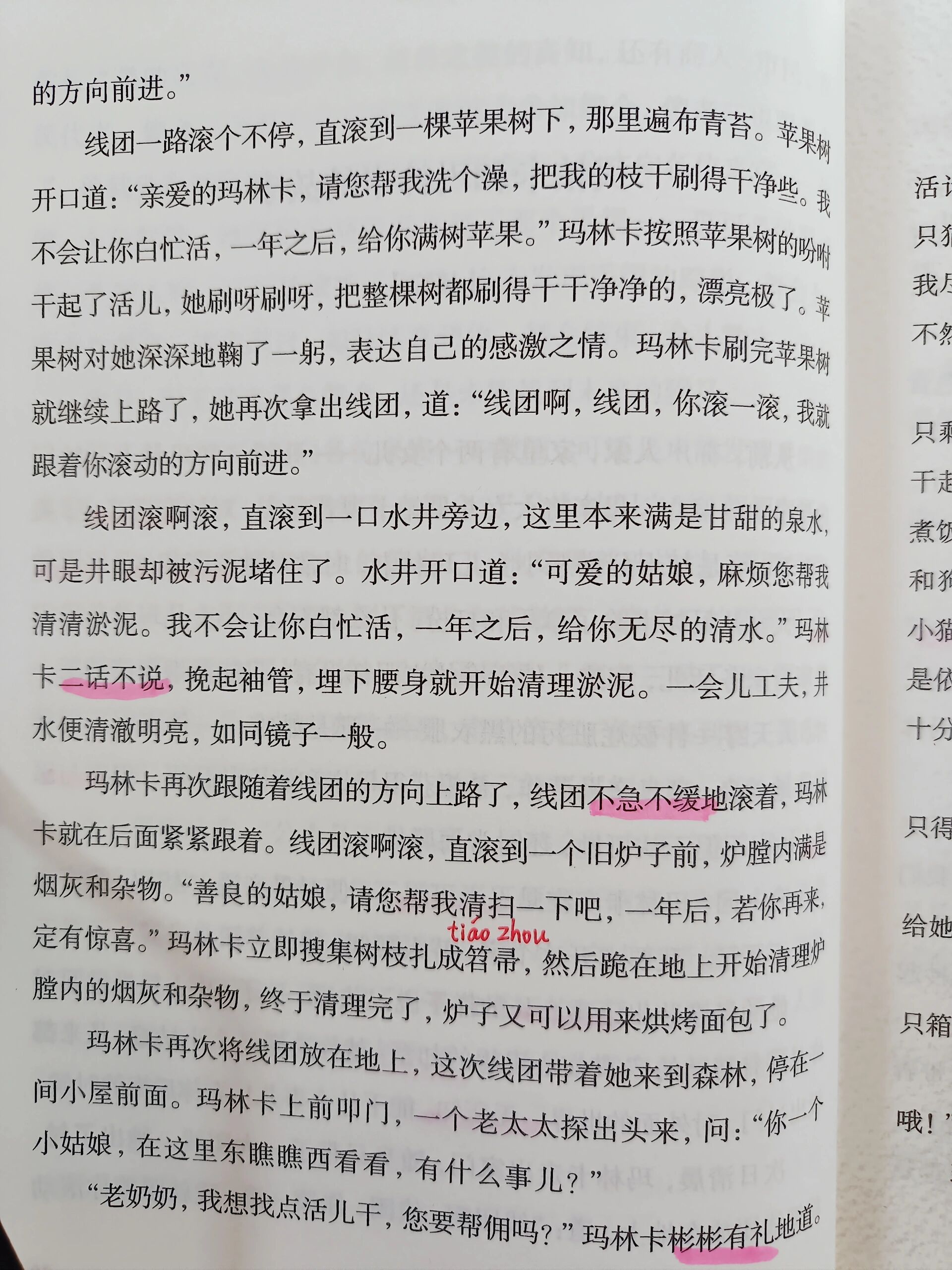 oldgrand欧洲老妇人欧洲老妇人的魅力与故事-第3张图片