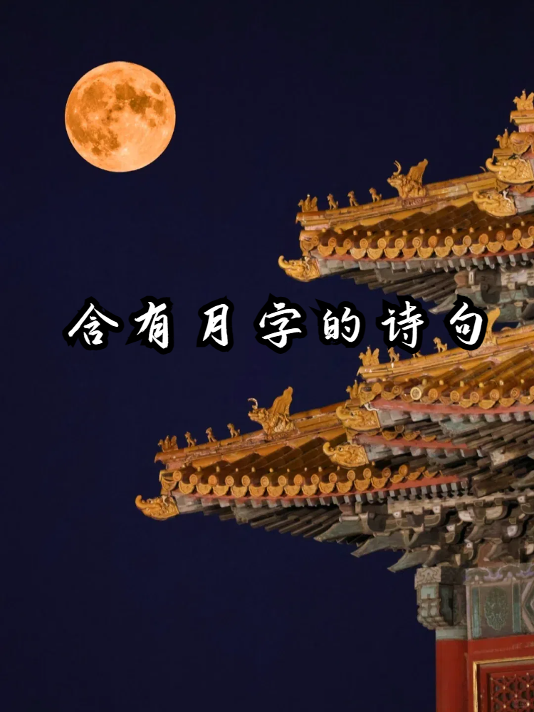仙语仙语，神秘而深邃的诗意语言-第1张图片