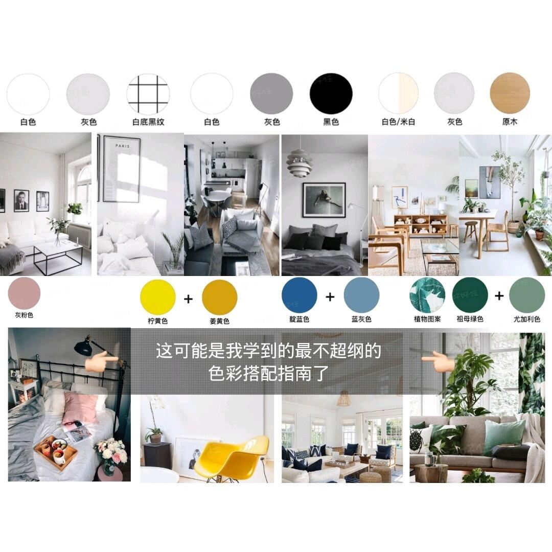论坛色调色点论坛——网络交流的色彩之地-第2张图片