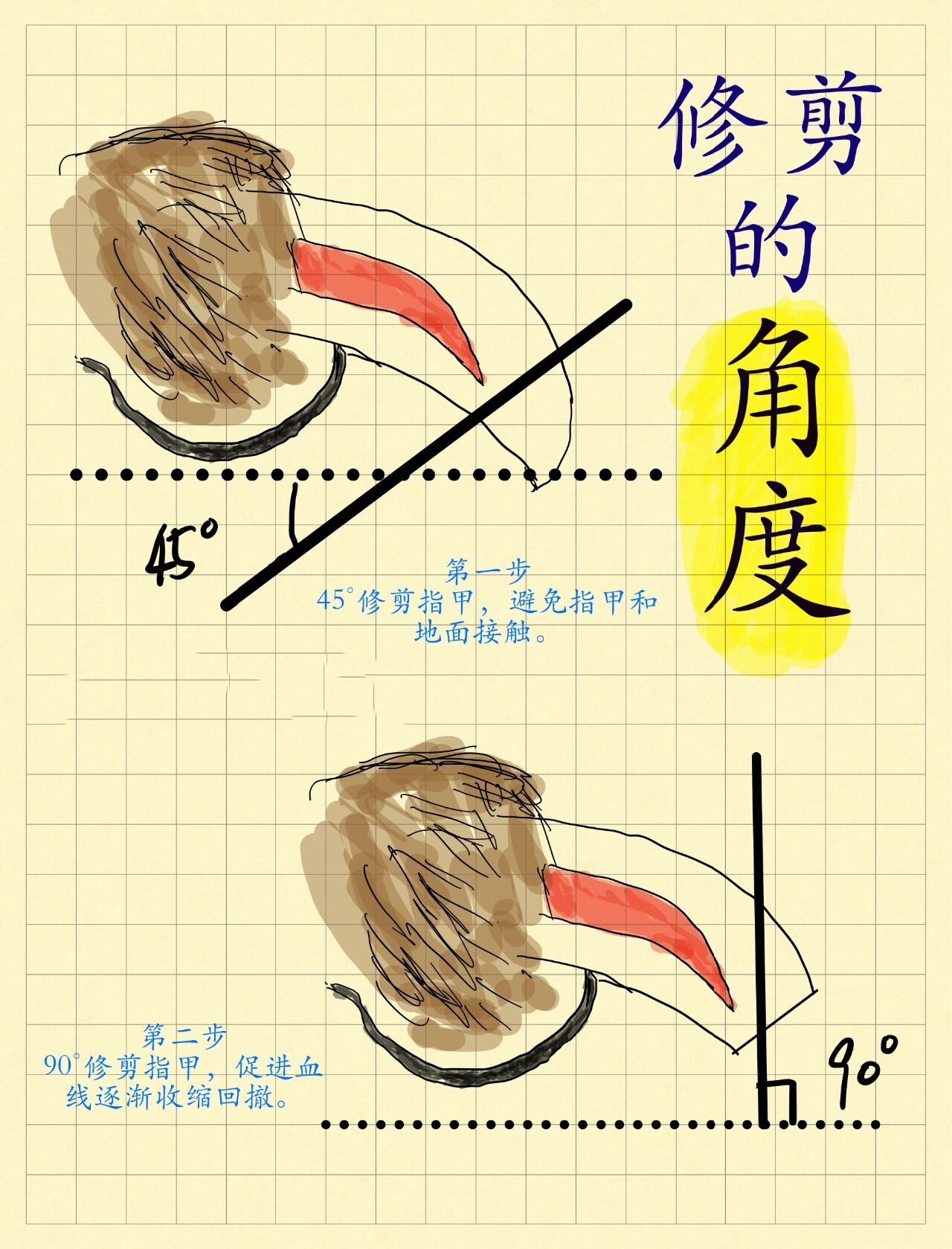 探索如何进入狗狗的身体甲-第2张图片