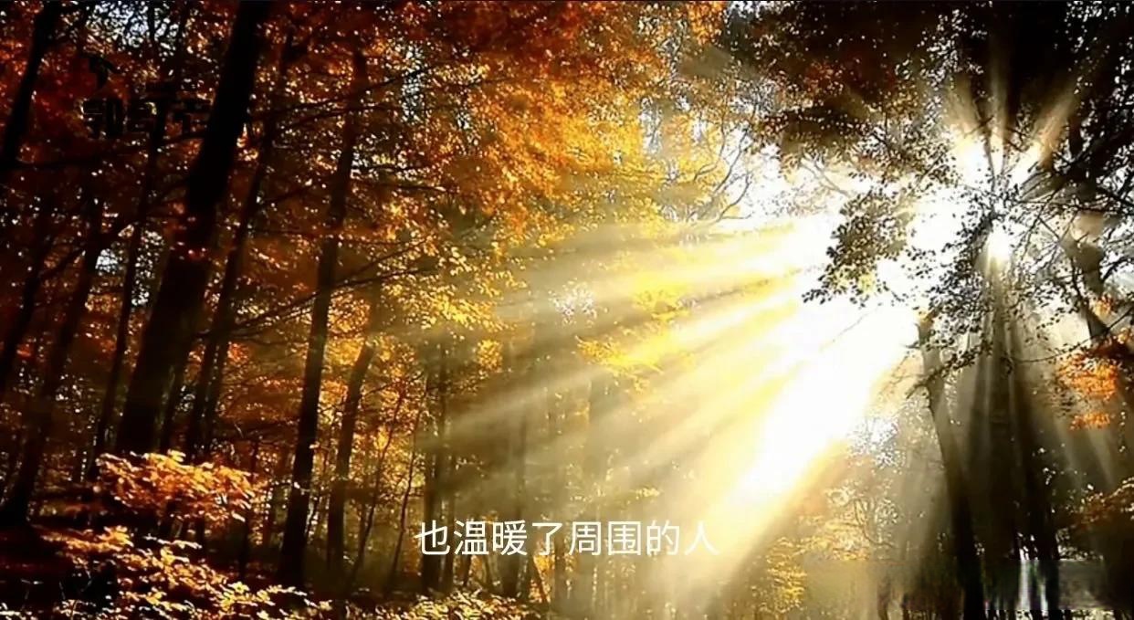 夜间正能量网站不用下载免费观看ww夜间正能量网站，照亮你夜晚的温暖之光-第3张图片