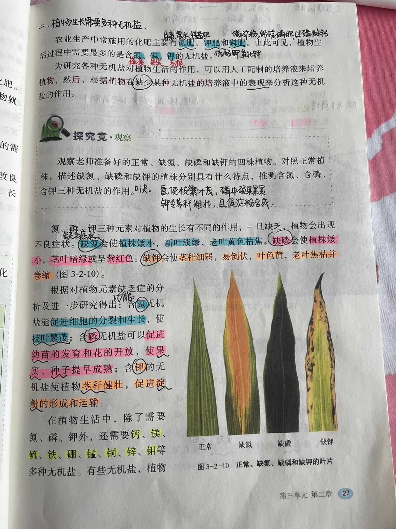 我成了生物课的教具篇小说我成了生物课的教具-第1张图片