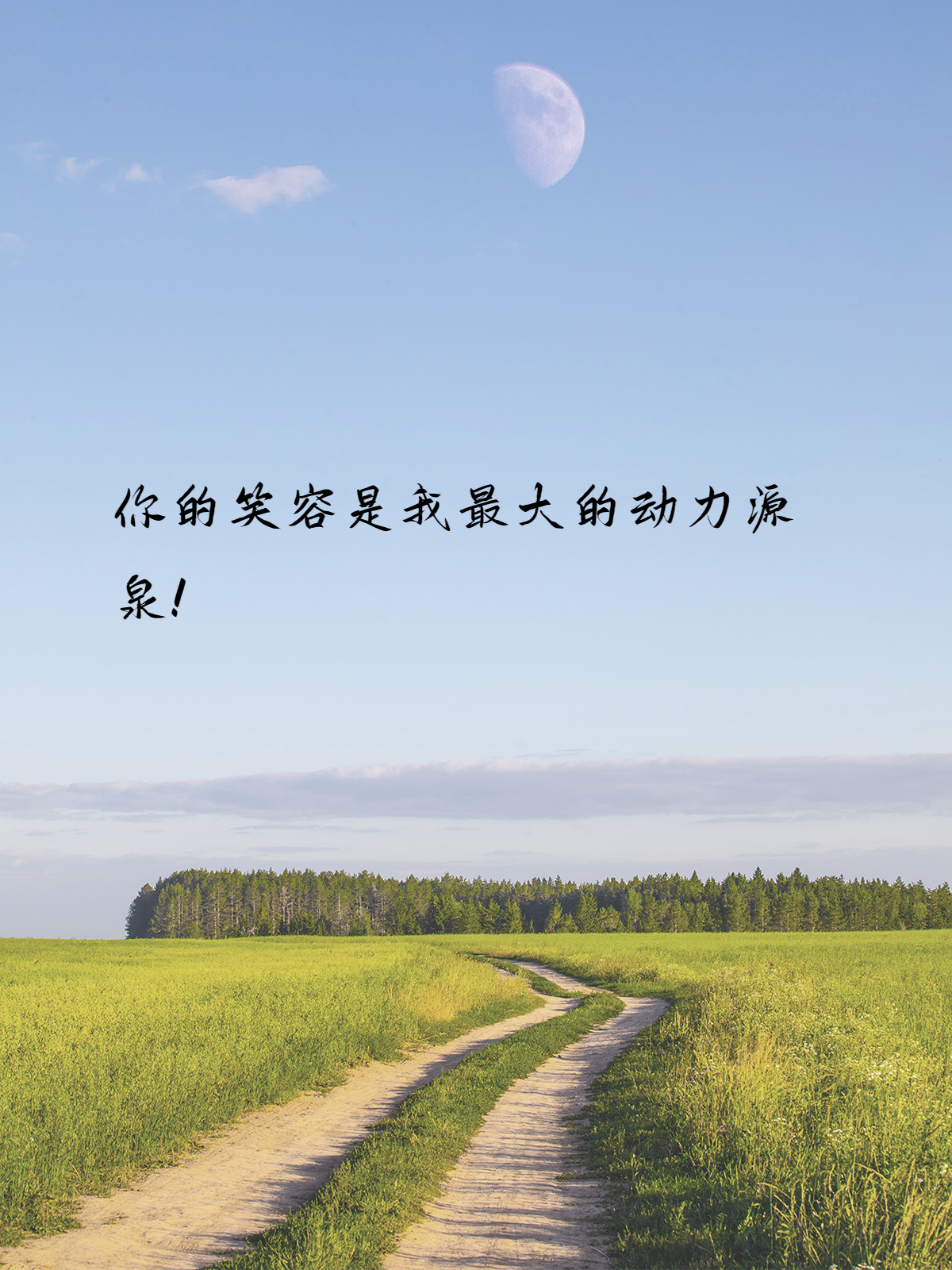 正能量网站——免费获取正能量的源泉-第1张图片