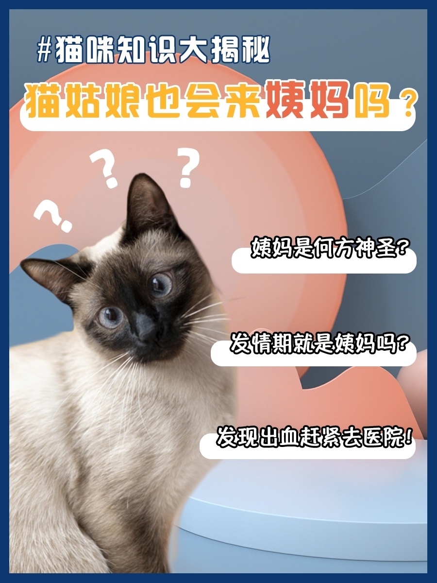 羞羞网页入口页面登陆羞羞网页入口页面登陆的探索与理解-第1张图片