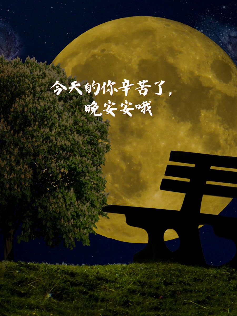 别急晚上英语老师就是你的人与英语老师共度夜晚的奇妙时光-第2张图片