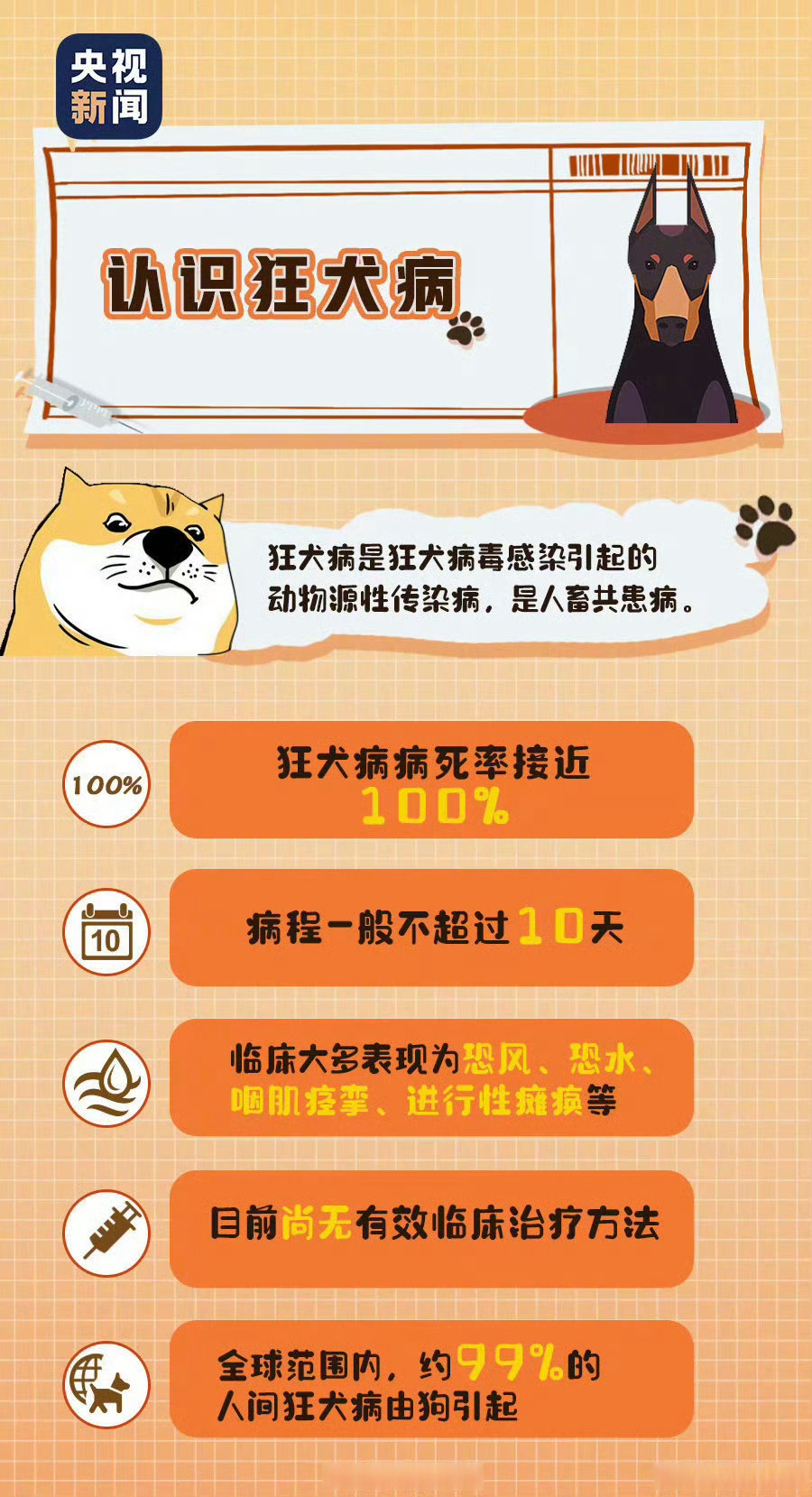 如何教狗狗学会自我清洁