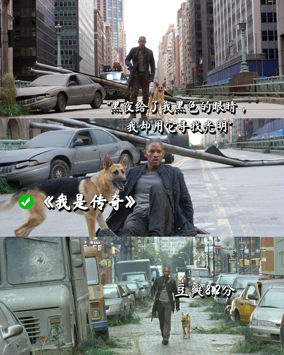 欧美黑人文化与成人视频的探讨-第2张图片