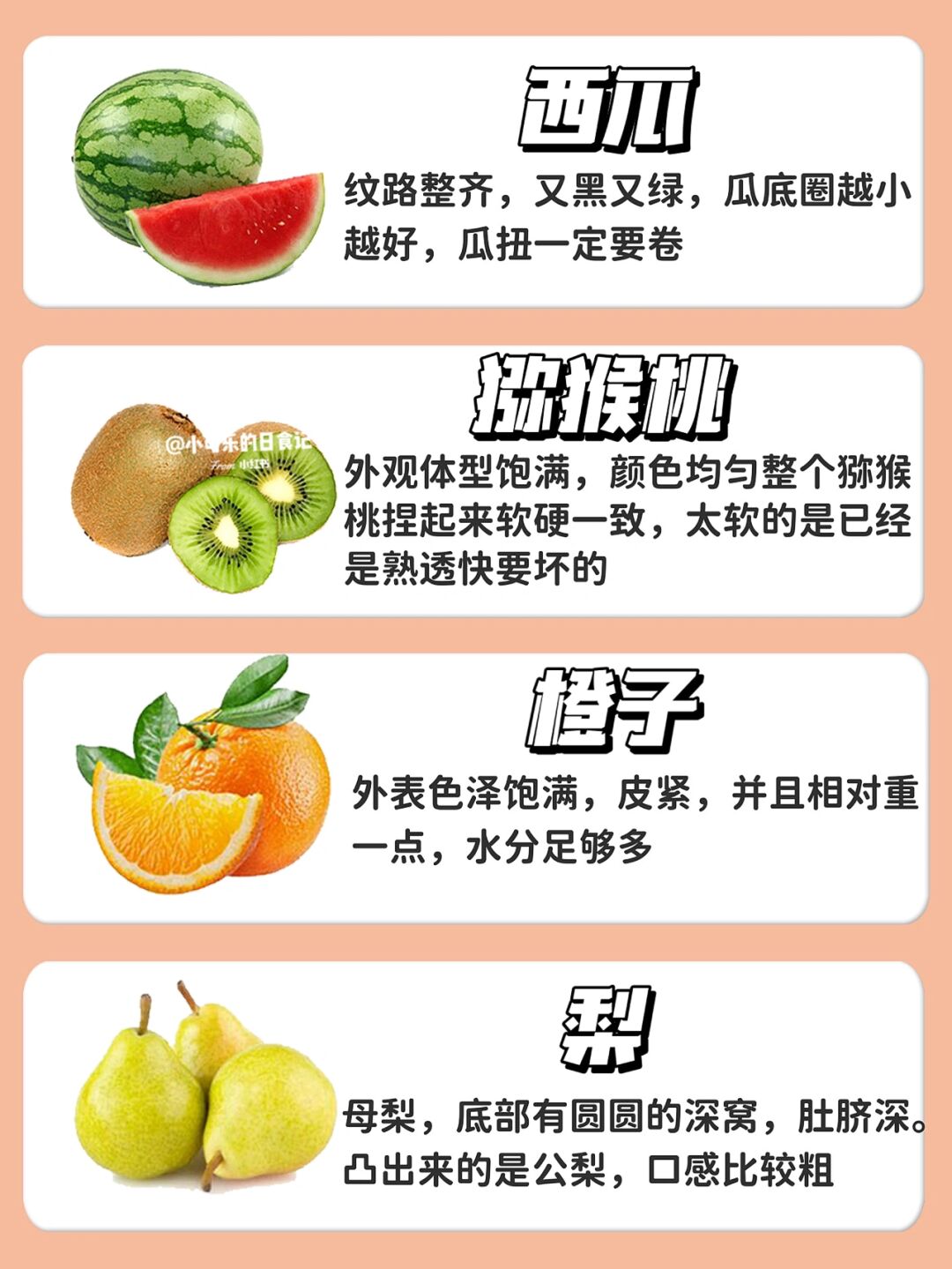 榴莲草莓芒果菠萝香蕉科普水果之王，榴莲、草莓、芒果、菠萝与香蕉的科普之旅-第2张图片