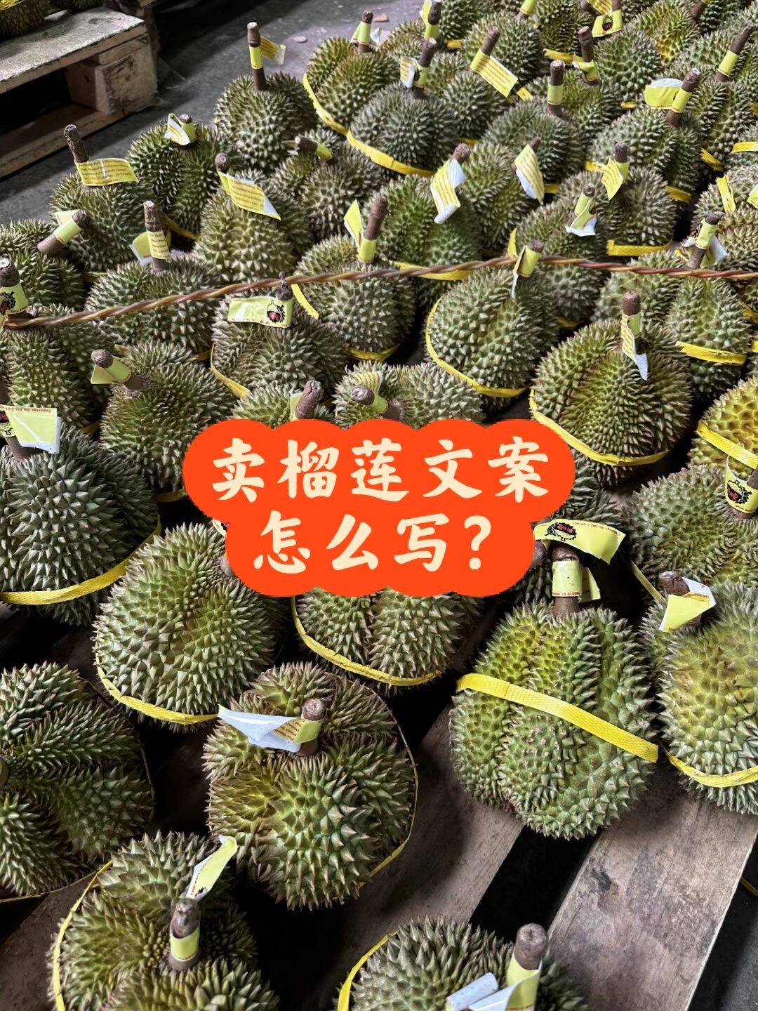 污丝瓜草莓榴莲深夜释放自己深夜释放的独特滋味——探索污丝瓜、草莓与榴莲的奇妙世界-第1张图片
