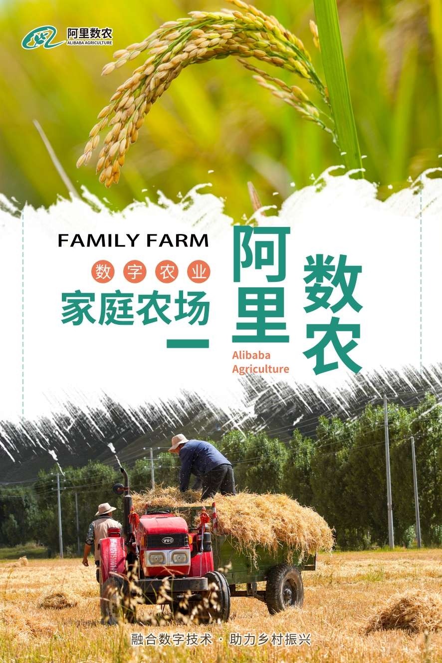种子在线，农业科技的未来与希望
