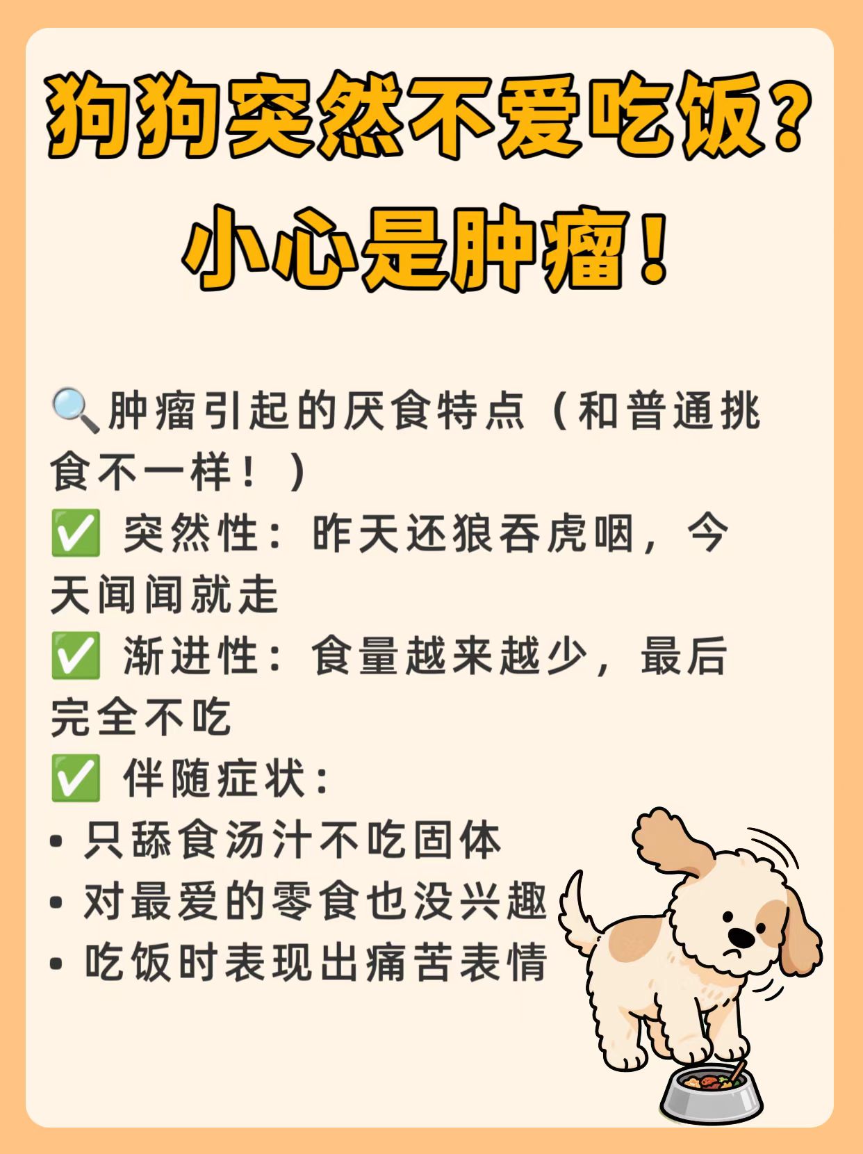 警惕狗狗饮食过度，狗狗过大食量会撑坏-第2张图片