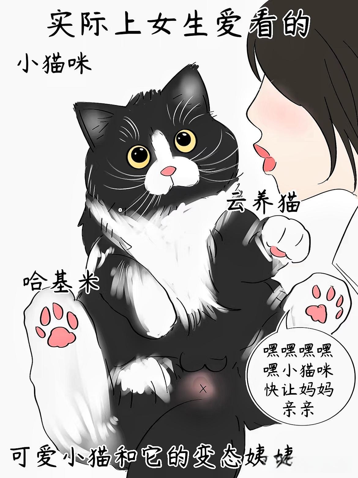 拔擦拔擦8X海外永久华人免费拔擦拔擦8X海外永久华人免费——开启全新免费交流体验-第2张图片