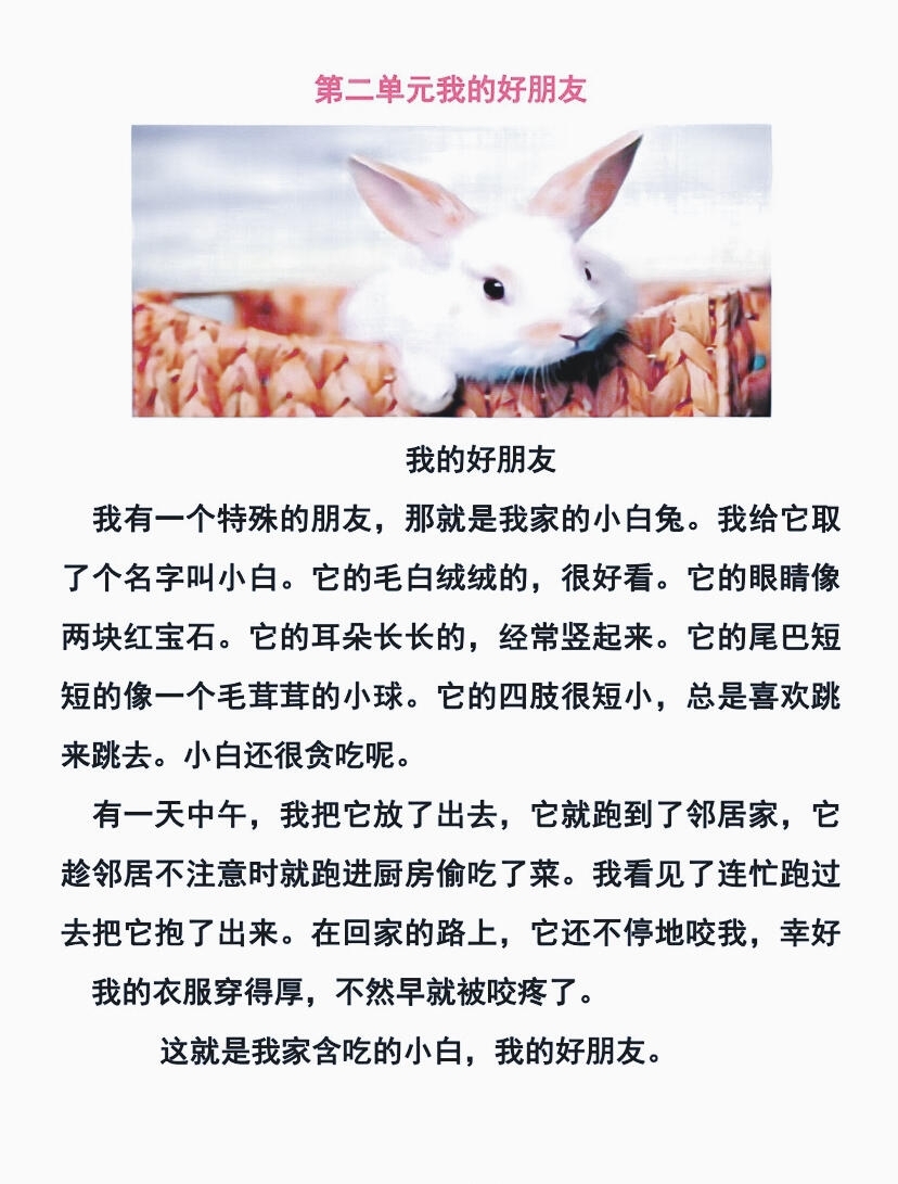 老师你的兔子好软水好多作文开头老师，你的兔子故事与软水之谜-第1张图片