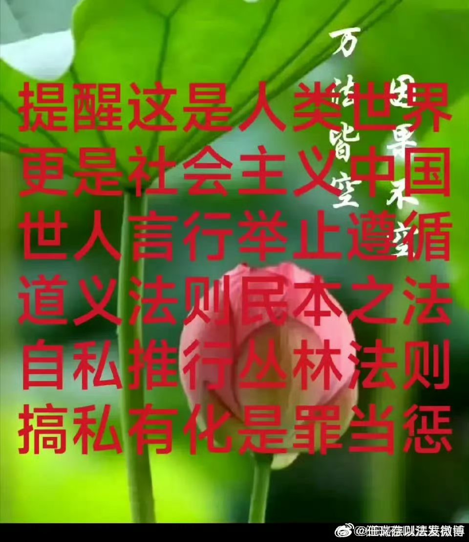 腐文化什么意思探索腐文的魅力与影响-第1张图片