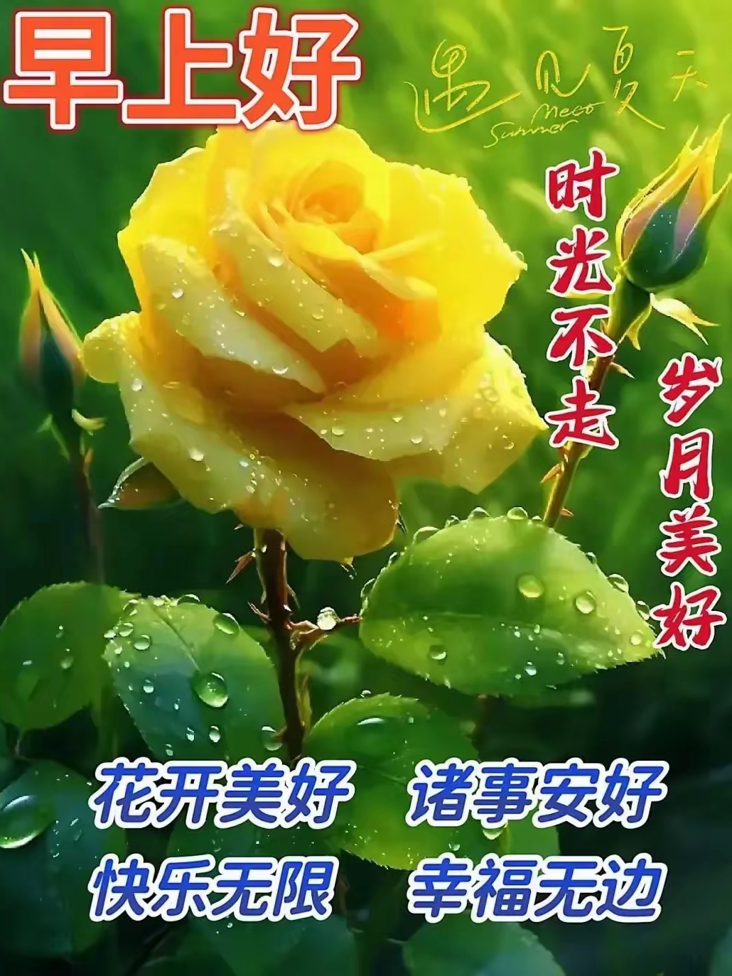 生命的兑换，一场无声的交易-第2张图片