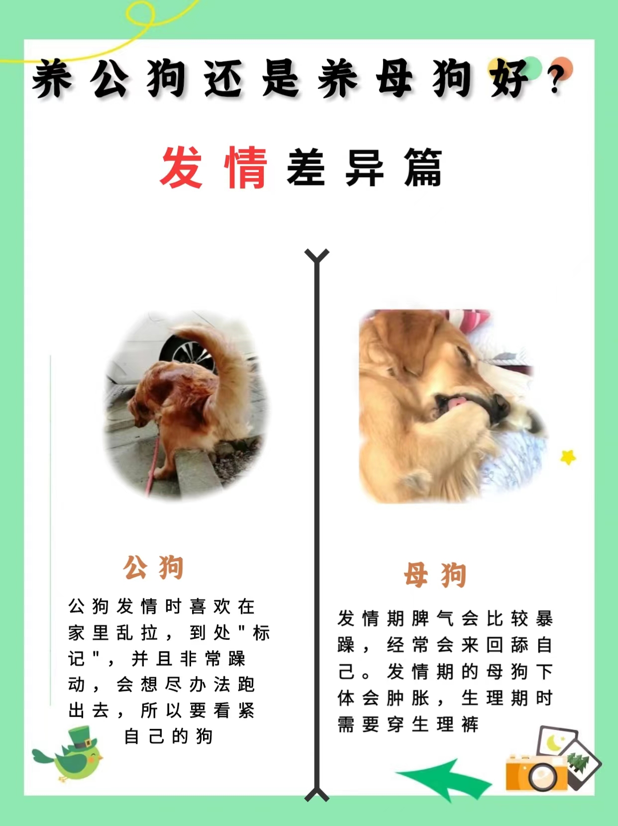 人可以和狗交配吗人狗交配，科学解读人类与犬类之间的生物界限