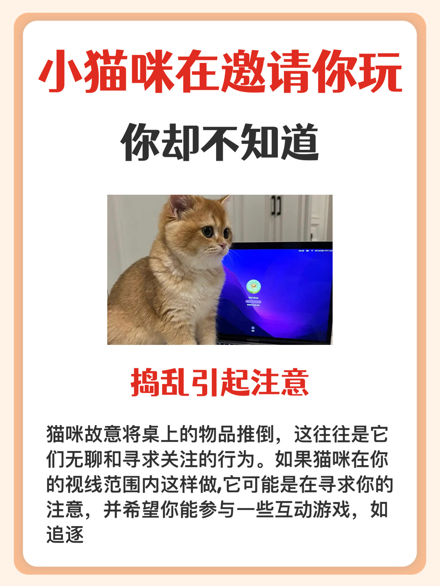 猫咪(破解版)猫咪（破解版）——探索与宠爱的无尽乐趣-第1张图片