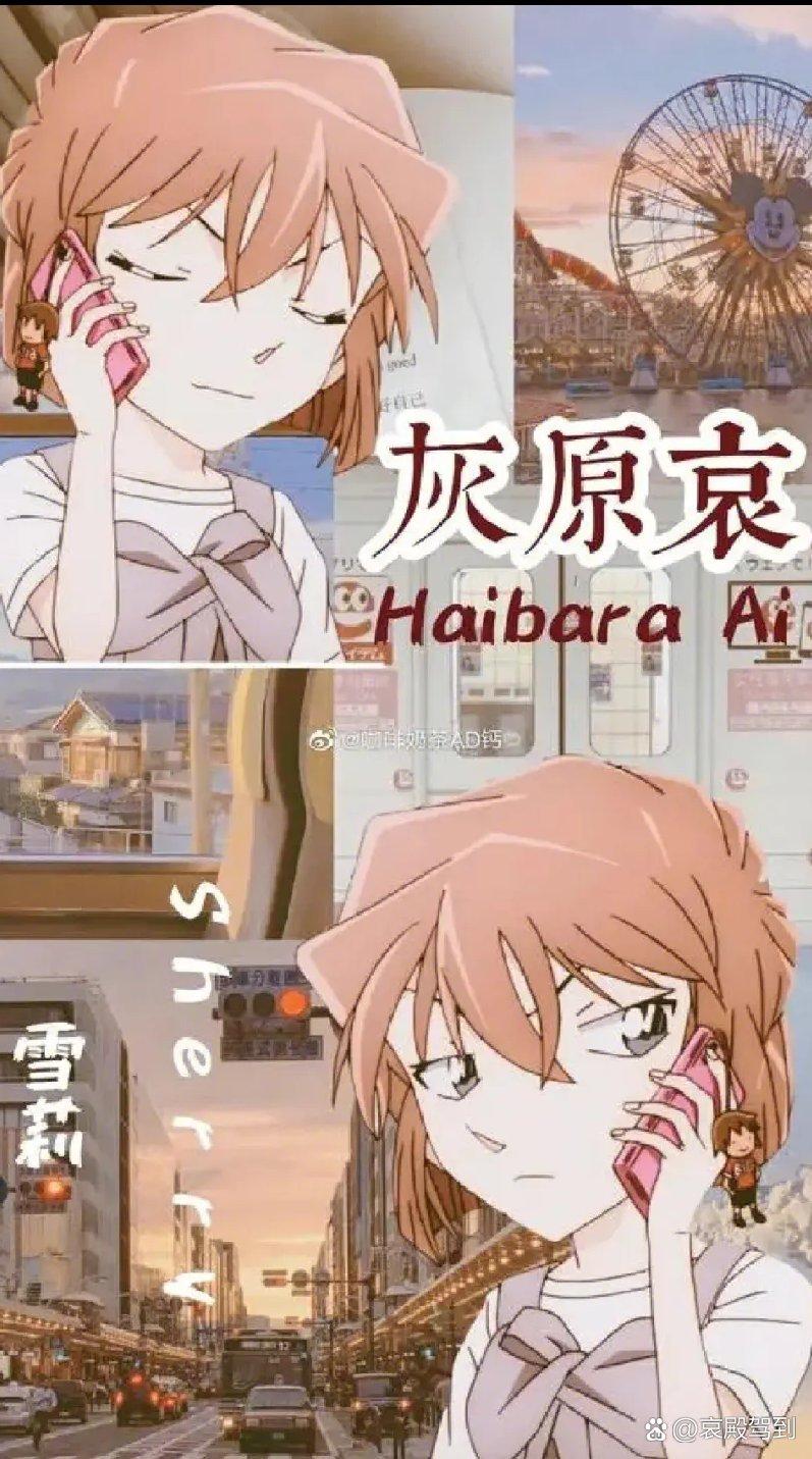 柯南、灰原哀与神秘的H之谜-第2张图片