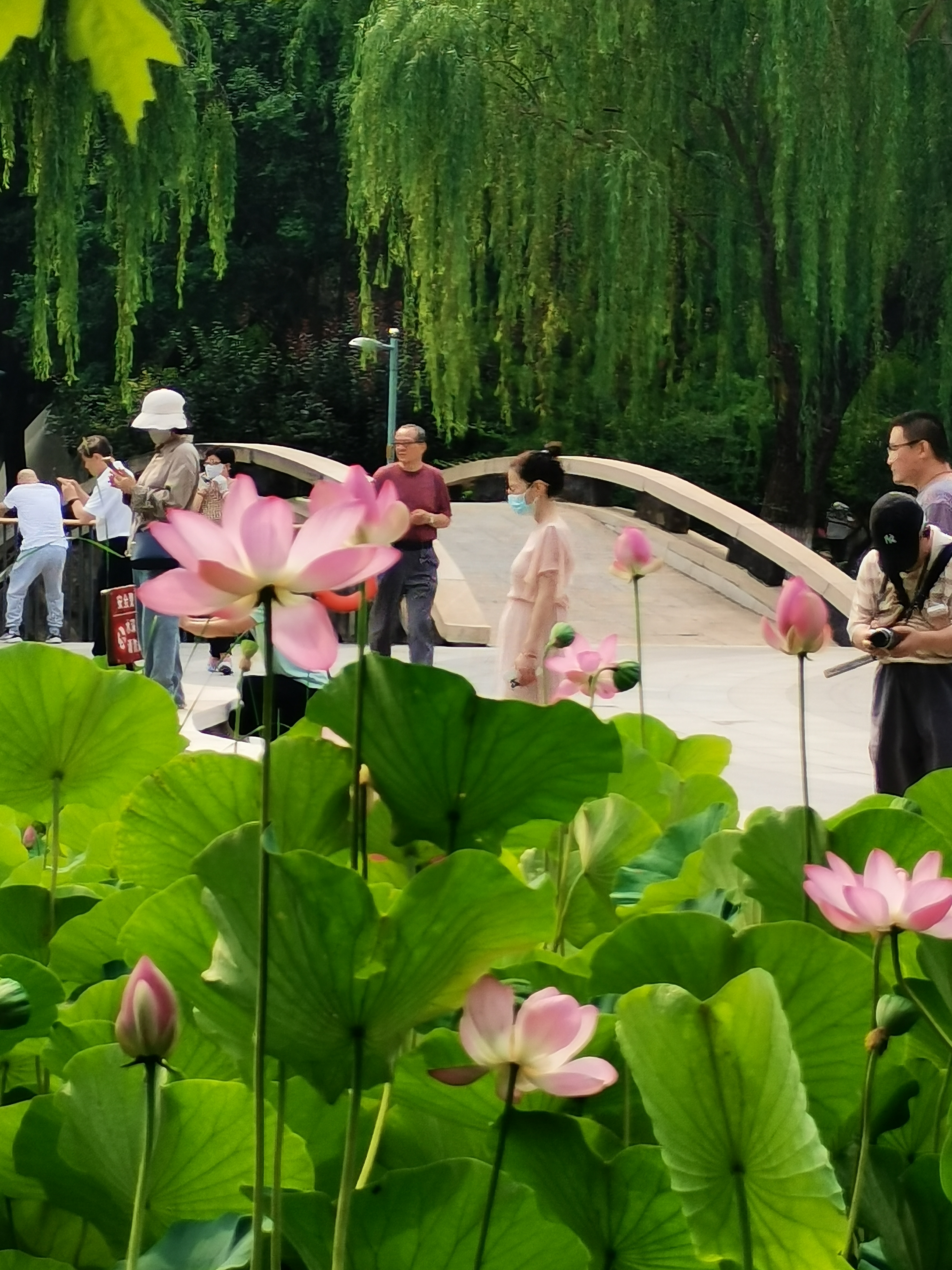 知花メイサ知花メイサ，一位独特的艺术之花-第3张图片