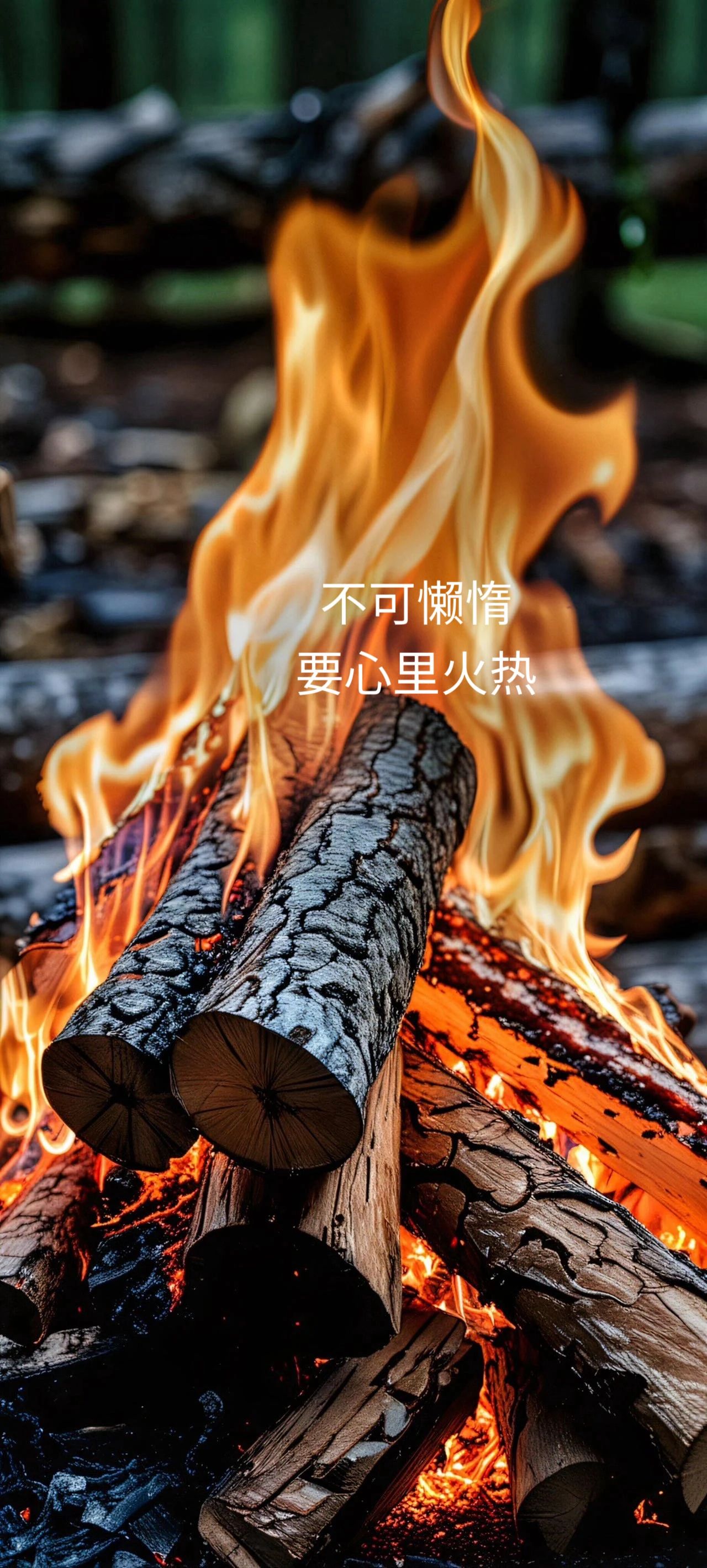 慢慢褪去最后一道防线慢慢褪去的最后一道防线