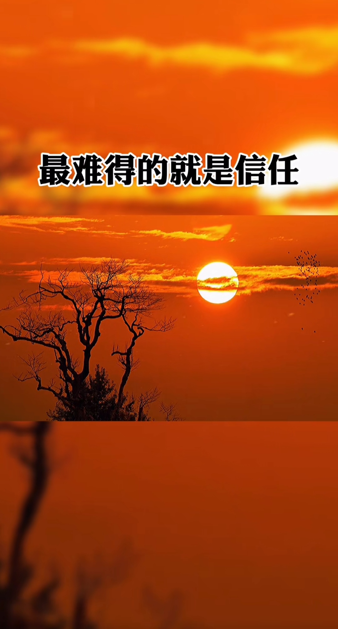 性能稳定——企业成功的基石-第1张图片