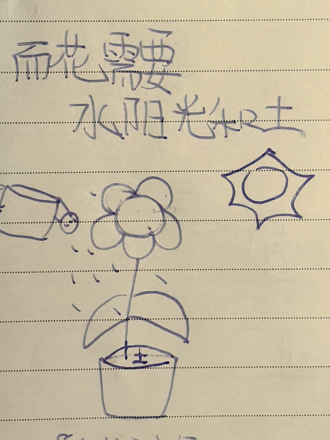 坐在根茎写作业坐在根茎上写作业的奇妙体验-第3张图片