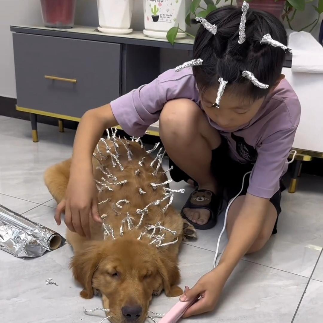 狗狗射速与烫的奇妙体验