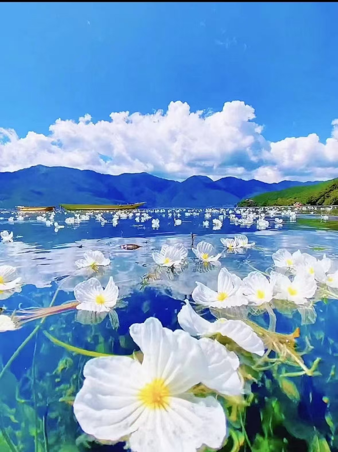 揭秘喷水瑶，一种独特的文化现象