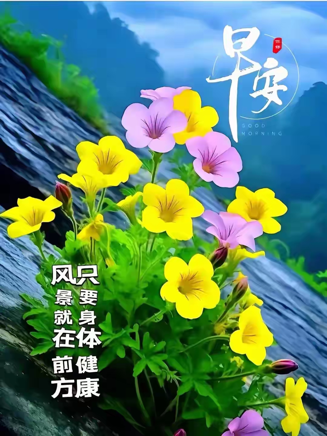 五月色彩缤纷，心情如阳光般开心-第3张图片