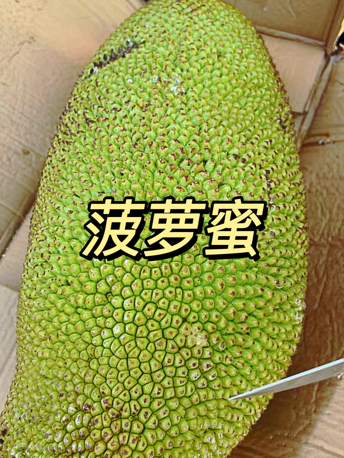 菠萝菠萝蜜3视频免费版探索4399平台上的菠萝菠萝蜜视频观看体验-第2张图片