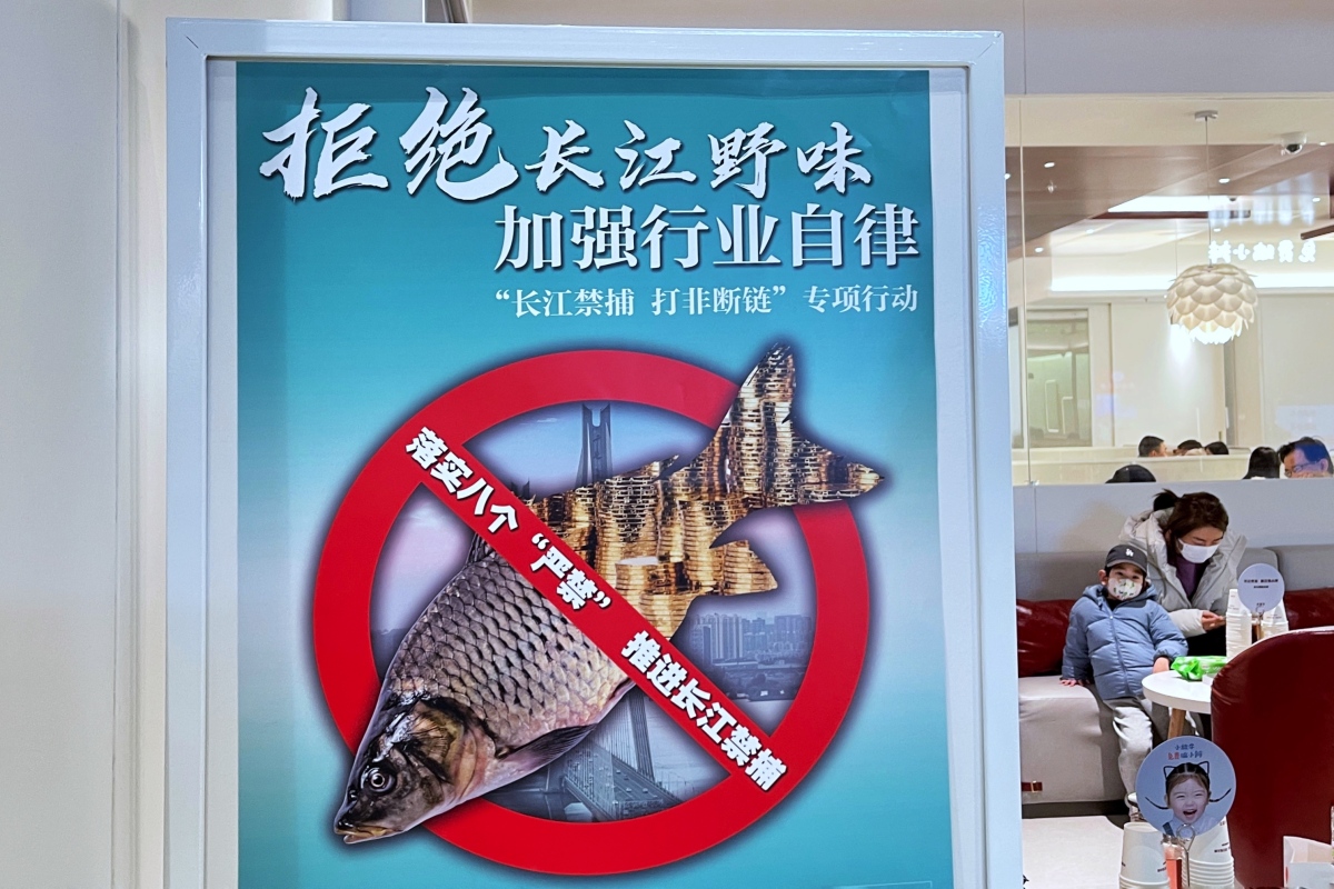俄罗斯Zoom动物另类网址俄罗斯的ZOOM动物，探索神秘的自然宝藏-第1张图片