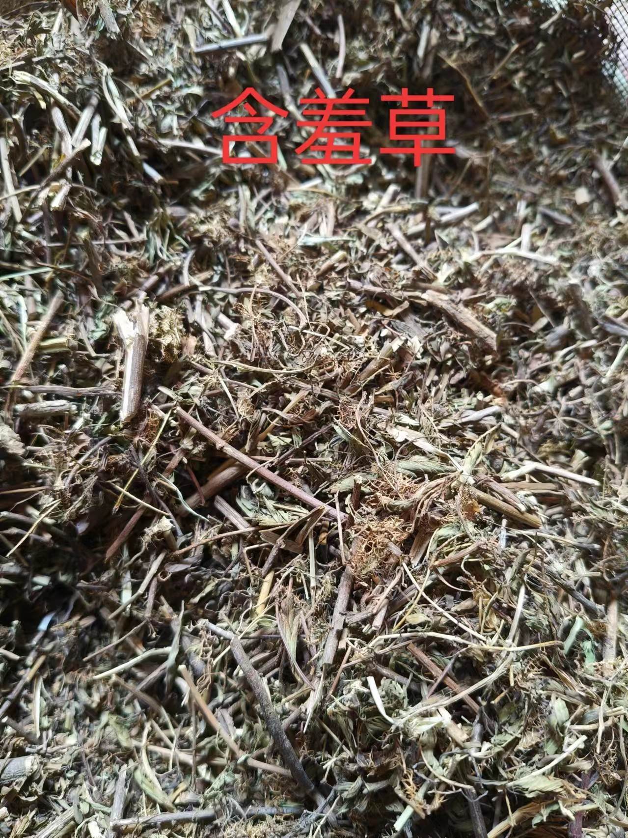 18款夜晚禁用含羞草关于18款夜晚禁用含羞草的探讨-第2张图片
