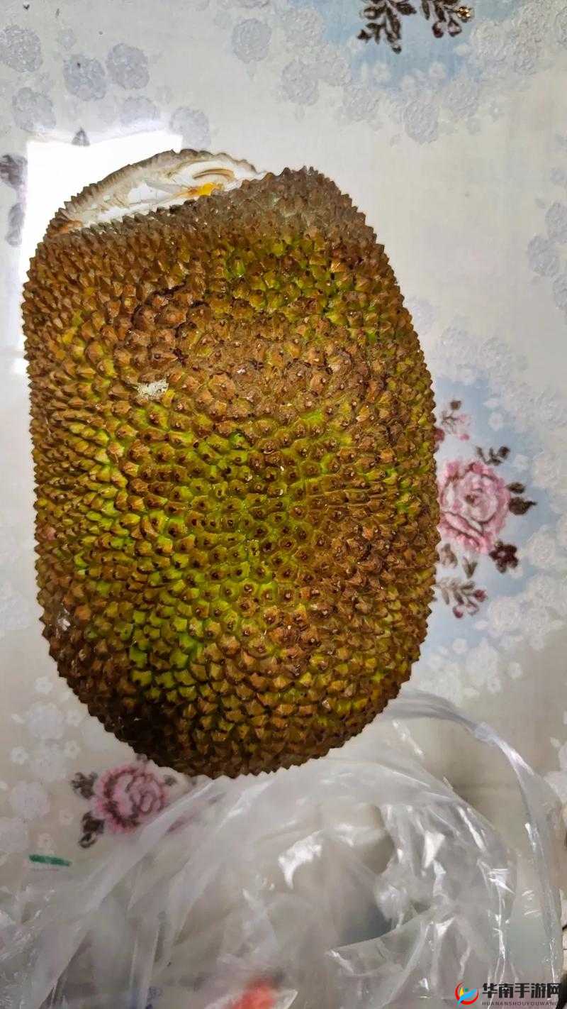 菠萝蜜视频在线观看视频入口污菠萝蜜视频的正确理解与网络资源探索