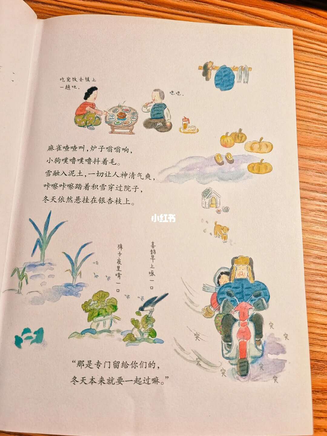 农夫导农夫导——引领农业新篇章-第1张图片