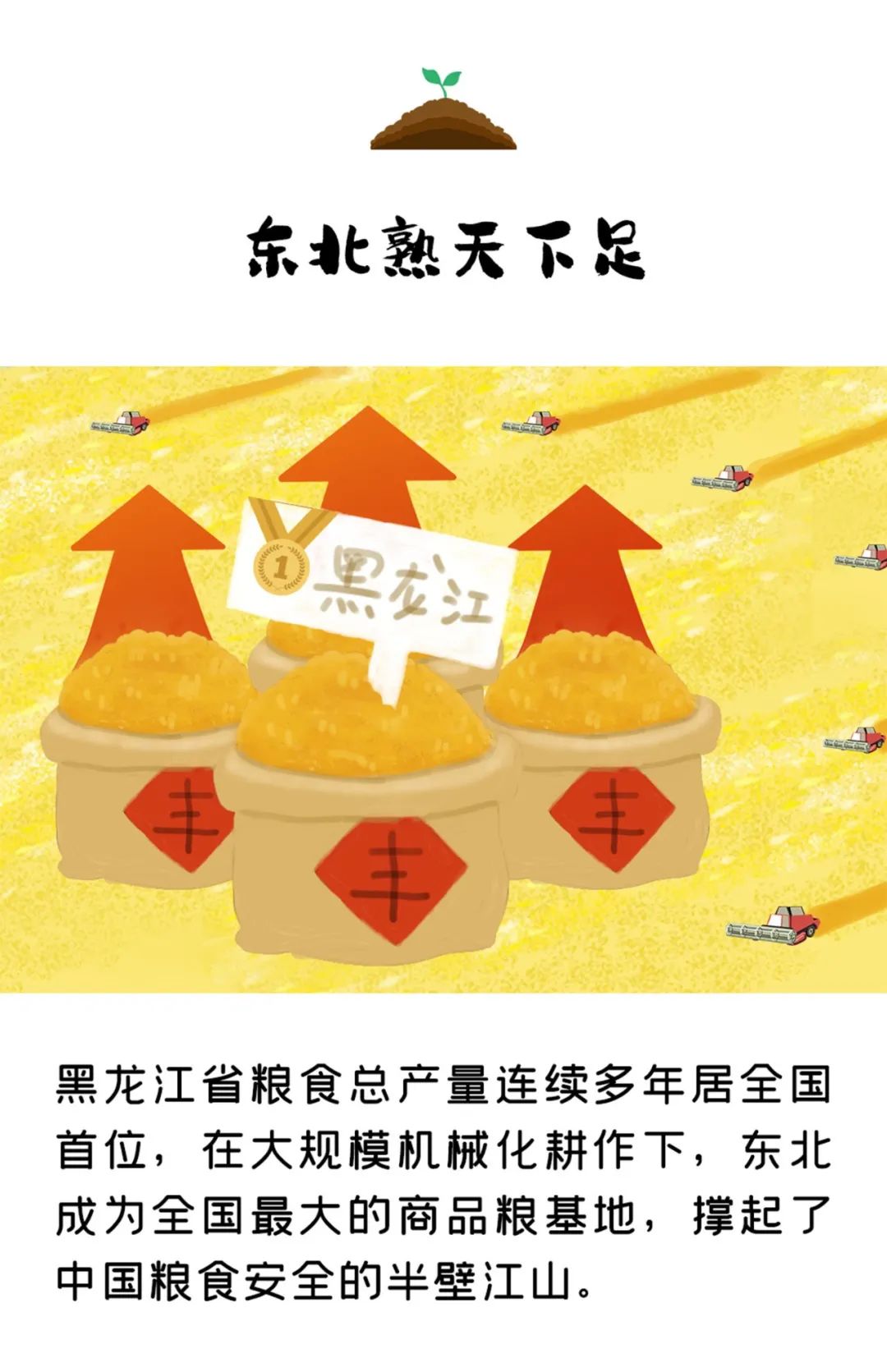大婶的肥沃的土地有多少字大婶的肥沃土地，丰饶的秘密-第2张图片
