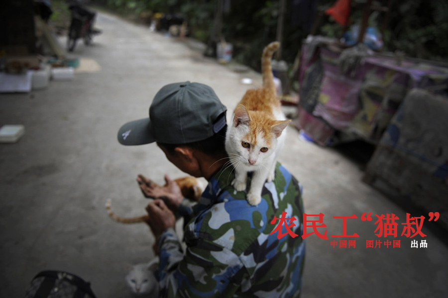 农民工嫖妓真实过程图片农民工嫖妓的错误行为及其影响-第3张图片