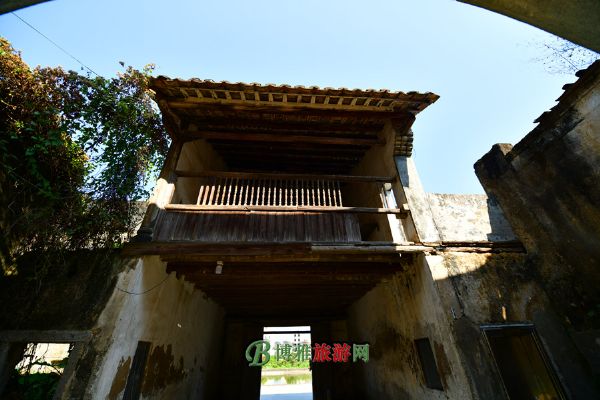 子林博雅视频从哪找子林博雅视频，探索文化与艺术的交汇点