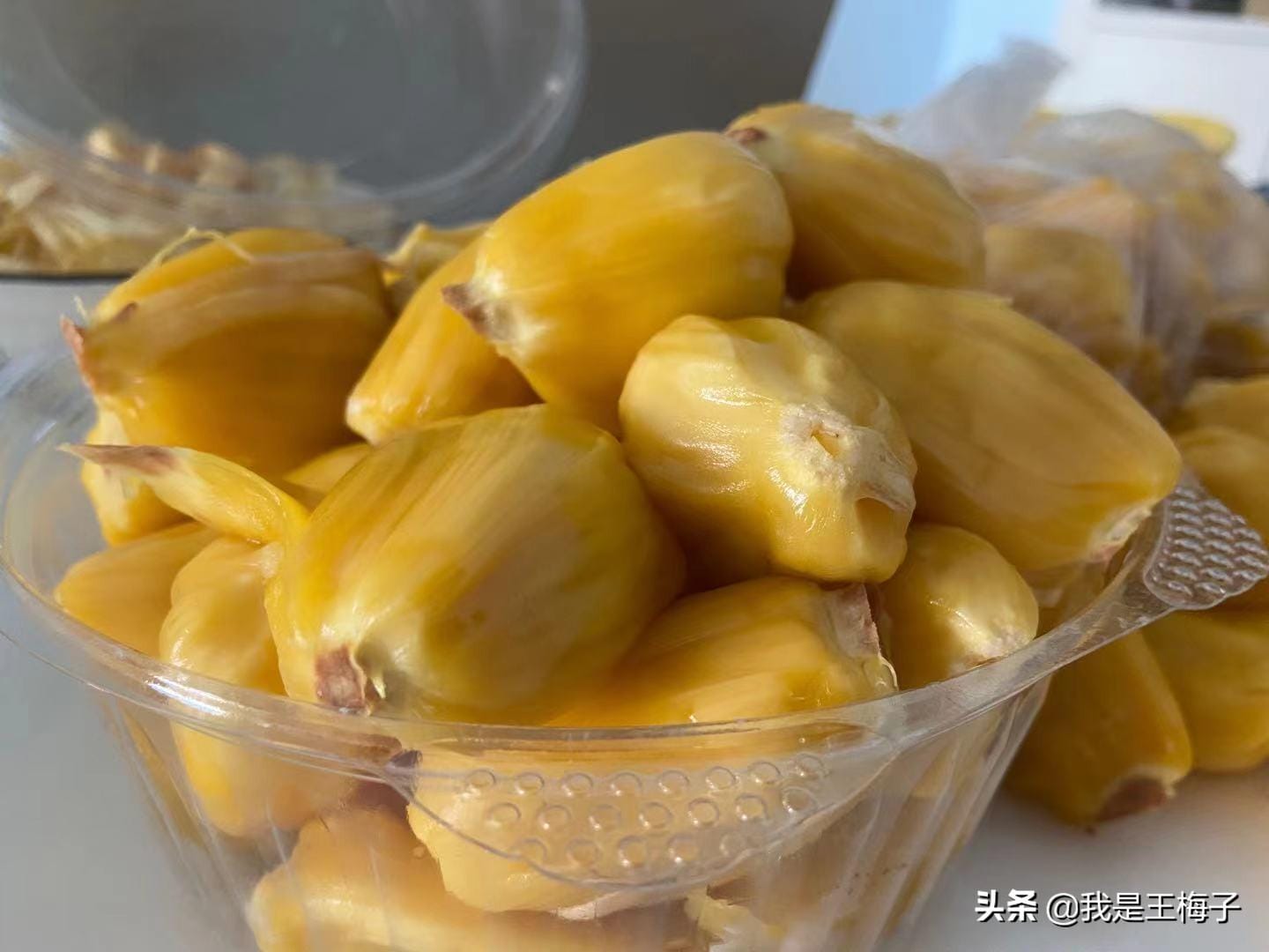 菠萝蜜在线观看视频观看菠萝蜜在线观看视频的探索与体验