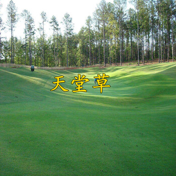 探索天堂网www种子资源-第3张图片